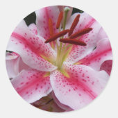 Sticker Rond Floral rose Oriental (Devant)