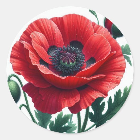Sticker Rond Flore de pavot rouge (Devant)