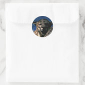 Sticker Rond Floride Panther (Sac)