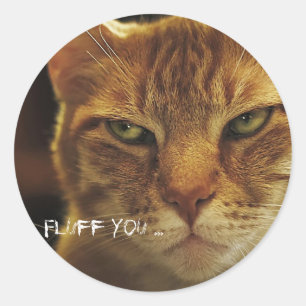 Sticker Rond Fluff de chat