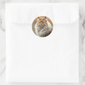 Sticker Rond Fluffy Norwegian Forest Portrait de chat (Sac)