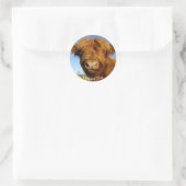 Sticker Rond Fluffy Scottish Highland Cow (Sac)
