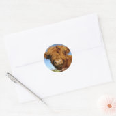 Sticker Rond Fluffy Scottish Highland Cow (Enveloppe)