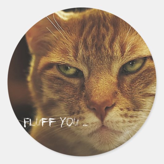 Sticker Rond Fluide de chat (Devant)
