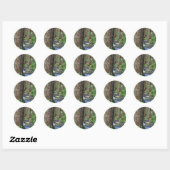 Sticker Rond Flux de séquoia arborescent (Feuille)
