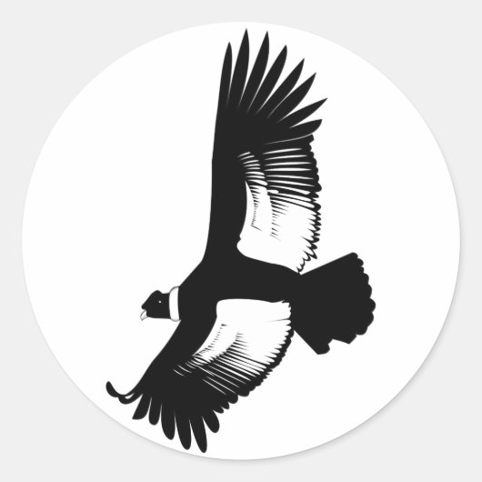 Sticker Rond Flying Andean Condor (Devant)
