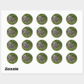 Sticker Rond Flying Mallards (Feuille)