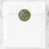 Sticker Rond Flying Mallards (Sac)