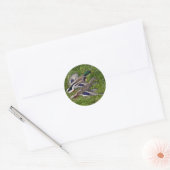 Sticker Rond Flying Mallards (Enveloppe)