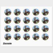 Sticker Rond Foals Jouer 2 (Feuille)
