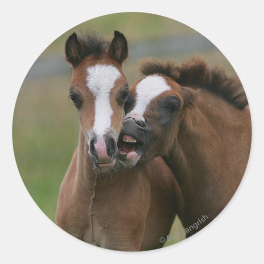 Sticker Rond Foies jouant (Devant)