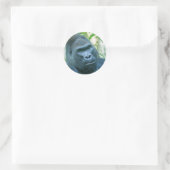 Sticker Rond Force inébranlable Silverback Gorilla Kito (Sac)