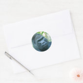 Sticker Rond Force inébranlable Silverback Gorilla Kito (Enveloppe)