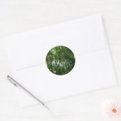 Sticker Rond Forest of Palm Trees Tropical Nature (Enveloppe)