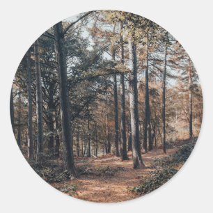 Sticker Rond Forêt panoramique relaxante
