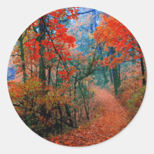 Sticker Rond Forêt peinte Cadeaux aquarelle Flamme d'automne