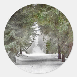 Sticker Rond Forêt Route Pins de Neige Photo