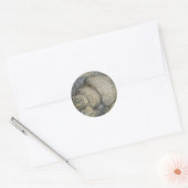 Sticker Rond Fossile (Enveloppe)