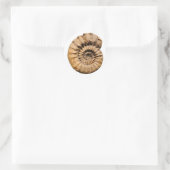 Sticker Rond Fossile ammonite (Sac)