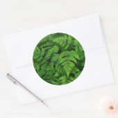 Sticker Rond Fougère bracken avec gouttes de pluie, État de Was (Enveloppe)