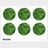 Sticker Rond Fougère bracken avec gouttes de pluie, État de Was (Feuille)
