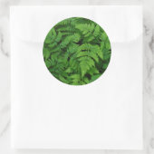 Sticker Rond Fougère bracken avec gouttes de pluie, État de Was (Sac)