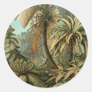 Sticker Rond Fougères Palmier Antique Botanique Fougères Art