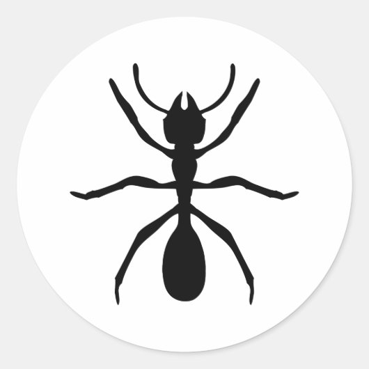 Sticker Rond fourmi noire (Devant)