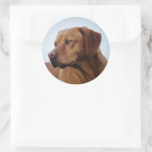 Sticker Rond Fox Red Labrador Gundog (Sac)