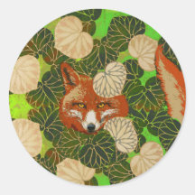 FOX ROUGE PARMI LES FEUILLES VERTS ET LE FOLIAGE