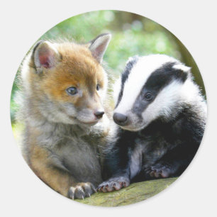 Sticker Rond Foxcub & Badger Cute !