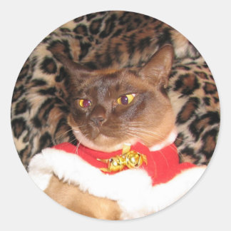 Sticker Rond FPG Xmas birman 2 -