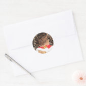 Sticker Rond FPG Xmas birman 2 - (Enveloppe)