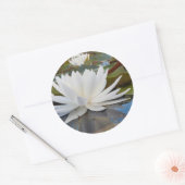 Sticker Rond Fragrant Water Lily (Enveloppe)