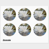 Sticker Rond Fragrant Water Lily (Feuille)