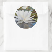 Sticker Rond Fragrant Water Lily (Sac)