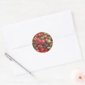 Sticker Rond Fraises classiques (Enveloppe)