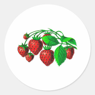 Sticker Rond Fraises fraîches