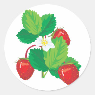 Sticker Rond fraises juteuses