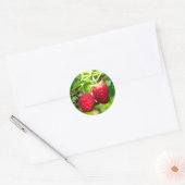 Sticker Rond Framboise (Enveloppe)
