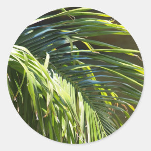 Sticker Rond Frances palmiers