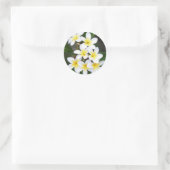 Sticker Rond Frangipani (Sac)