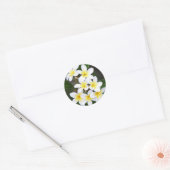 Sticker Rond Frangipani (Enveloppe)