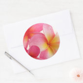 Sticker Rond Frangipani rose (Enveloppe)