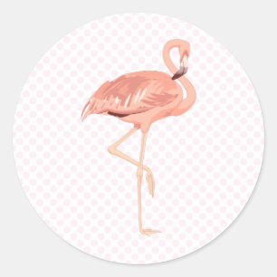 Sticker Rond Freddy Flamant rose