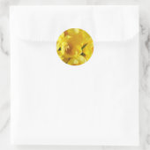 Sticker Rond Freesia Jaune (Sac)