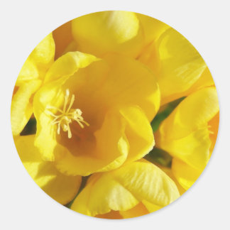 Sticker Rond Freesia Jaune