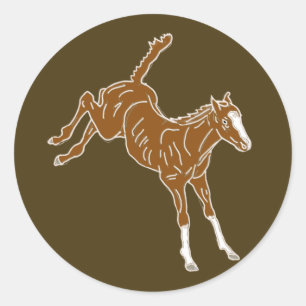 Sticker Rond Frolicking Horse Foal - transparent uni-couleur.