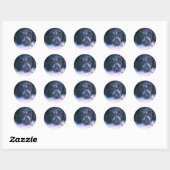 Sticker Rond Frontière à neige Collie Chien (Feuille)