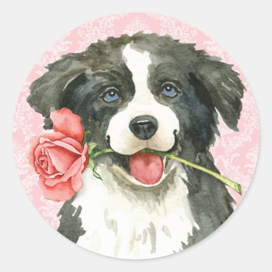 Sticker Rond Frontière Rose Valentine Collie (Devant)